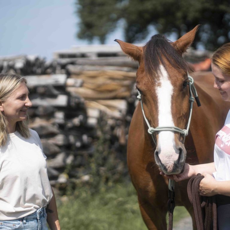 pädagogik tiergestützt leona tallmann bonn königswinter pferdegestütztes coaching_coaching gespräch-min