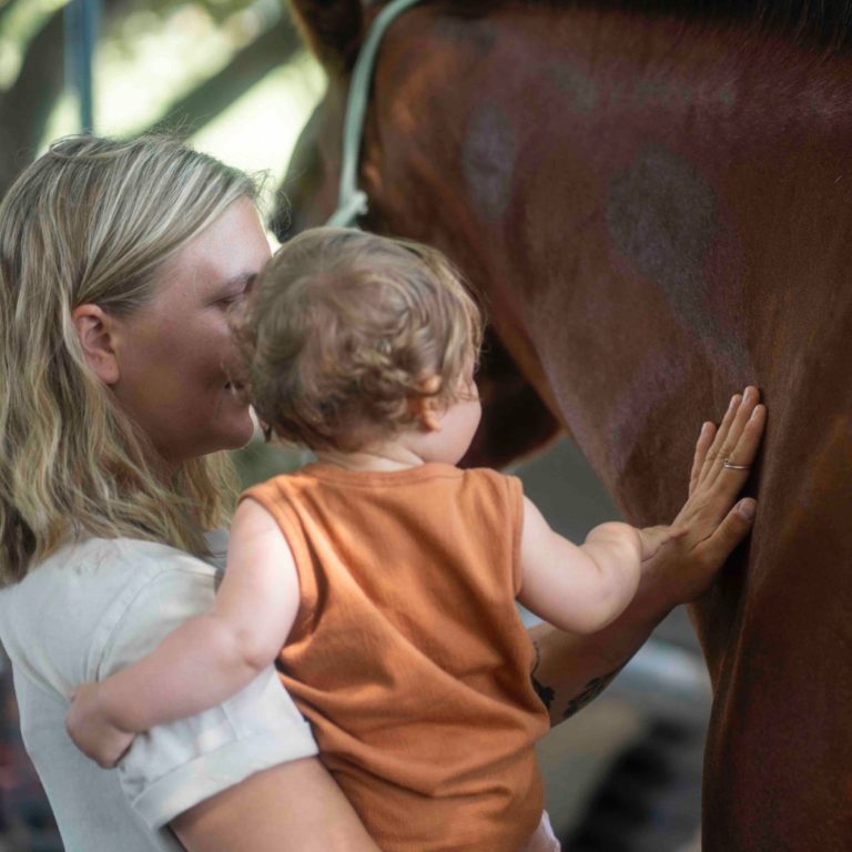pädagogik tiergestützt leona tallmann bonn königswinter pferdegestütztes coaching_kind pferd